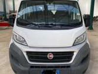 usata Fiat Ducato Ducato