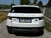Usata Land Rover Range Rover evoque Prestige 150 CV (110 kW) 2015 Bianco SUV