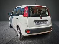 Usata Fiat Panda Easy 70 CV (51 kW) 2021 Bianco Utilitaria