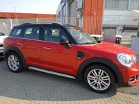 usata Mini Cooper Countryman 2.0 Splendida