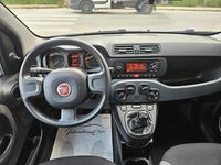 Usata Fiat Panda 69 CV (50 kW) 2021 Grigio Utilitaria