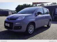 Usata Fiat Panda Easy 69 CV (50 kW) 2019 Grigio Utilitaria