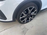 Usata Ford Fiesta Titanium 125 CV (91 kW) 2023 Rosso Utilitaria