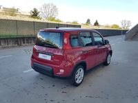 usata Fiat Panda Panda 1.0 70cv hybrid