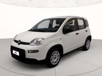 Usata Fiat Panda S 70 CV (51 kW) 2024 Bianco Utilitaria
