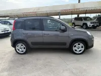 Usata Fiat Panda City Life 69 CV (50 kW) 2023 Grigio Utilitaria