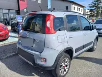Usata Fiat Panda 4x4 95 CV (69 kW) 2019 Grigio Utilitaria