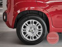 Usata Fiat Panda S 70 CV (51 kW) 2024 Giallo pastello Utilitaria