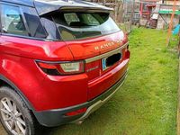 Usata Land Rover Range Rover evoque SE 150 CV (110 kW) 2017 Rosso SUV