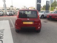 Usata Fiat Panda S 70 CV (51 kW) 2024 Rosso Utilitaria