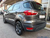 Usata Ford Ecosport ST-Line 99 CV (72 kW) 2019 Grigio SUV