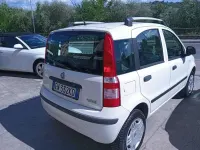 Usata Fiat Panda Dynamic 77 CV (56 kW) 2012 Bianco Utilitaria