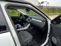 Usata Land Rover Range Rover evoque 2018 Bianco Monovolume