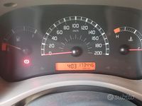 Usata Fiat Panda 54 CV (39 kW) 2004 Rosso Utilitaria
