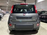 usata Fiat Panda Cross 1.0 FireFly S&S Hybrid City usato