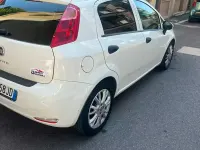 Usata Fiat Grande Punto 95 CV (69 kW) 2017 Bianco Utilitaria