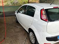 Usata Fiat Punto Evo 75 CV (55 kW) 2011 Bianco Utilitaria