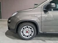 usata Fiat Panda 1.0 1.0 70cv Hybrid