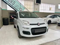 Usata Fiat Panda Lounge 69 CV (50 kW) 2020 Grigio Utilitaria
