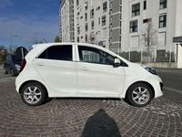 Usata Kia Picanto 69 CV (50 kW) 2013 Bianco Utilitaria
