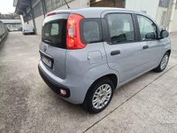 Usata Fiat Panda Lounge 69 CV (50 kW) 2017 Utilitaria