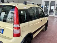 Usata Fiat Panda 4x4 Climbing 69 CV (50 kW) 2010 Utilitaria