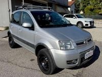 Usata Fiat Panda 4x4 Climbing 75 CV (55 kW) 2011 Argento Utilitaria