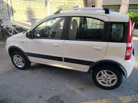 Usata Fiat Panda 4x4 Climbing 75 CV (55 kW) 2011 Bianco Utilitaria