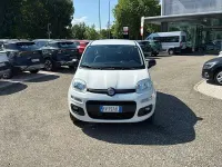 Usata Fiat Panda Easy 70 CV (51 kW) 2019 Bianco Utilitaria