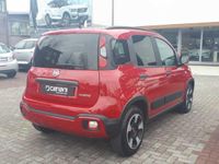 usata Fiat Panda Cross 1.0 FireFly S&S Hybrid