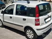 Usata Fiat Panda Dynamic 60 CV (44 kW) 2009 Bianco Utilitaria