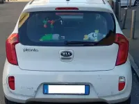 Usata Kia Picanto 69 CV (50 kW) 2013 Bianco Utilitaria