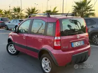 Usata Fiat Panda 4x4 75 CV (55 kW) 2011 Verde Utilitaria