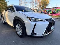 Usata Lexus UX 250h Business Edition 145 CV (106 kW) 2020 Bianco SUV