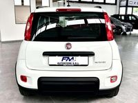 Usata Fiat Panda City Life 69 CV (50 kW) 2022 Bianco Utilitaria