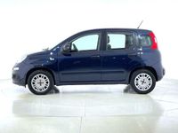 Usata Fiat Panda Easy 69 CV (50 kW) 2017 Blu Utilitaria