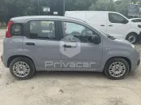Usata Fiat Panda S 70 CV (51 kW) 2021 Grigio Utilitaria