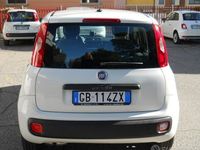 Usata Fiat Panda Easy 69 CV (50 kW) 2020 Bianco Utilitaria
