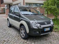 Usata Fiat Panda 4x4 Cross 69 CV (50 kW) 2008 Verde Utilitaria