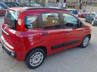 Usata Fiat Panda Easy 69 CV (50 kW) 2012 Rosso Utilitaria