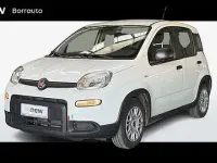 Usata Fiat Panda Easy 69 CV (50 kW) 2024 Bianco Utilitaria