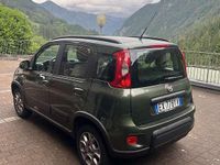 Usata Fiat Panda 4x4 Climbing 75 CV (55 kW) 2013 Verde Utilitaria