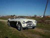 Usata Austin Healey 100 90 CV (66 kW) 1956 Bianco Cabrio