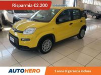 Usata Fiat Panda S 71 CV (52 kW) 2024 Giallo Utilitaria