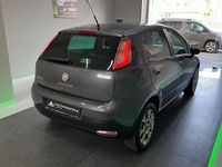 Usata Fiat Punto Easy 70 CV (51 kW) 2012 Nero Utilitaria