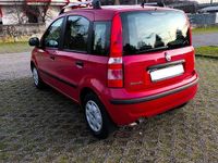 Usata Fiat Panda 69 CV (50 kW) 2011 Rosso Utilitaria