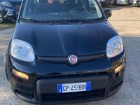 Usata Fiat Panda 69 CV (50 kW) 2023 Berlina