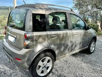 Usata Fiat Panda Cross Cross 2006 Utilitaria
