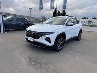Usata Hyundai Tucson 230 CV (169 kW) 2023 Bianco SUV