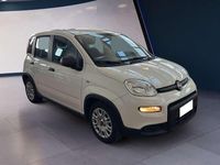 Usata Fiat Panda S 69 CV (50 kW) 2023 Bianco Utilitaria